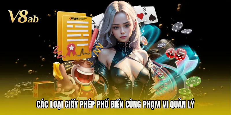 Các loại giấy phép phổ biến cùng phạm vi quản lý