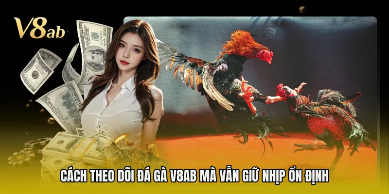 Cách theo dõi đá gà V8AB mà vẫn giữ nhịp ổn định