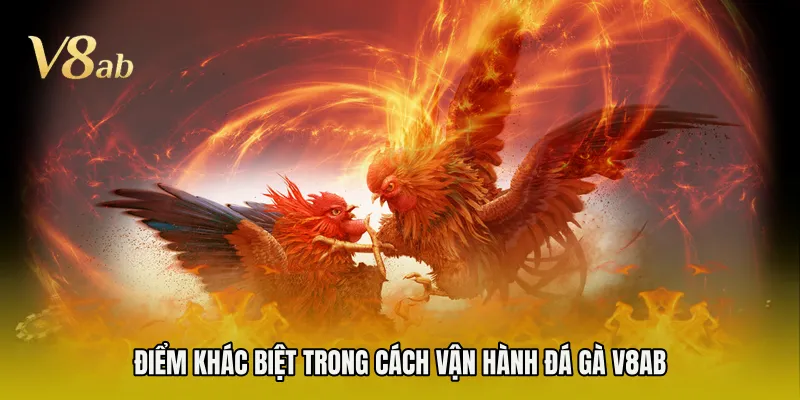 Điểm khác biệt trong cách vận hành đá gà V8AB