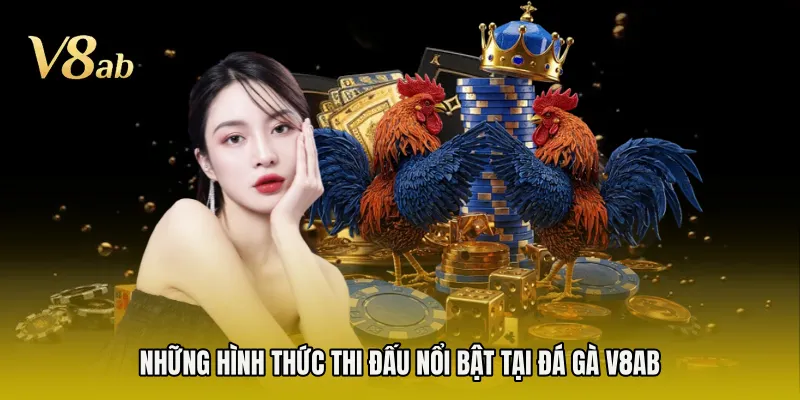 Những hình thức thi đấu nổi bật tại đá gà V8AB